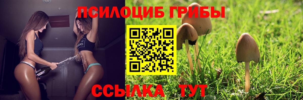 Галлюциногенные грибы Psilocybine cubensis  Вход с VPN  как найти закладки  Галлюциногенные грибы Cubensis  Кандалакша 