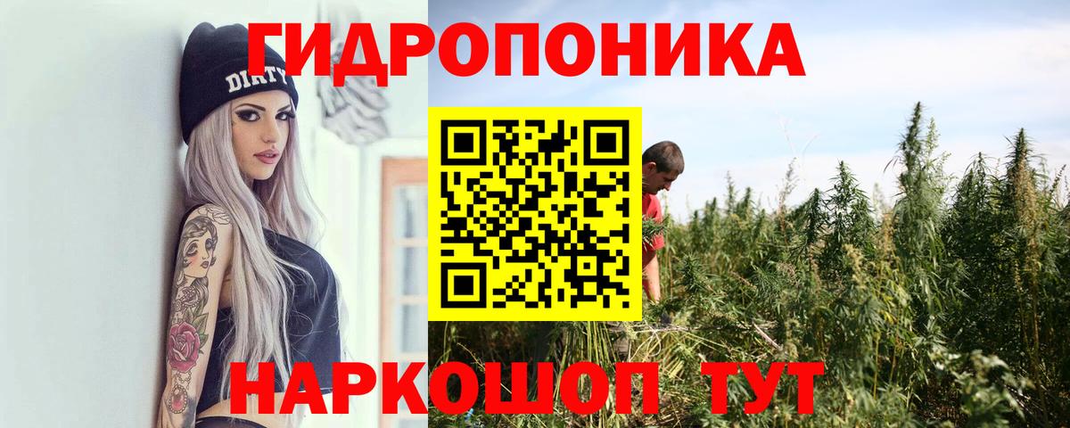 Кандалакша  Бошки марихуана план  Конопля White Widow  МАРИХУАНА LSD WEED  Вход с VPN 